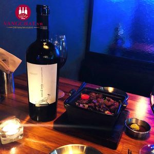 Rượu vang Ý Canace Nero di Troia 2018