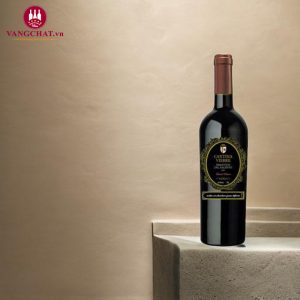 Rượu Vang Ý Cantina Vierre Primitivo Del Salento 2021