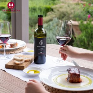 Rượu Vang Ý Nipozzano Mormoreto 2018
