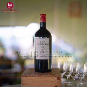 Rượu vang Pháp Chateau Marquis De Terme 2016