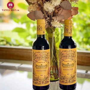 Rượu Vang Đỏ Les Pélerins De Lafon-Rochet 2019