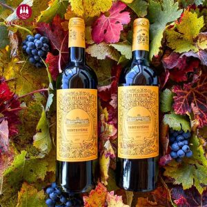 Rượu Vang Đỏ Les Pélerins De Lafon-Rochet 2019