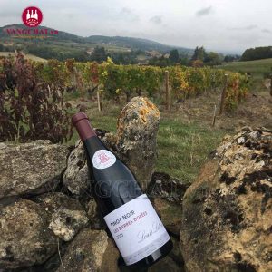Rượu Vang Pháp Louis Latour Pinot Noir Les Pierres Dorées