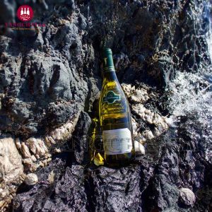 Rượu Vang Pháp Petit Chablis Pas Si Petit