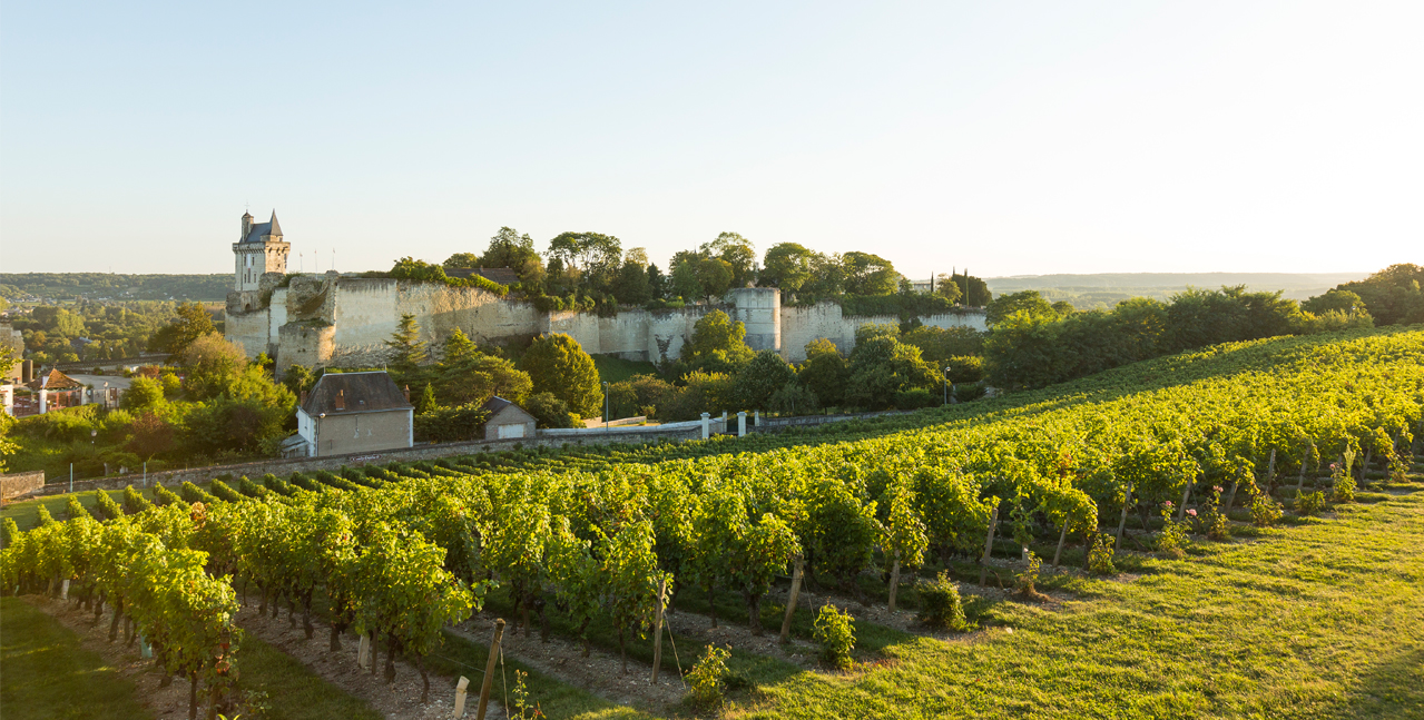 vùng Loire Valley (Thung lũng Loire) Pháp