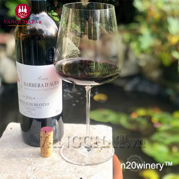 Rượu vang Ý Comm. G.B. Burlotto Aves Barbera D'alba