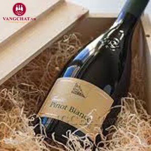 Rượu vang Ý Tradition Pinot Bianco