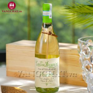 Rượu Vang Ý Cantina Zaccagnini Pecorino