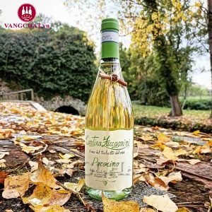 Rượu Vang Ý Cantina Zaccagnini Pecorino