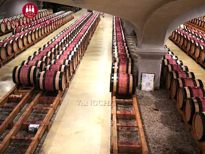 Hầm ủ rượu vang Vidal Fleury La Chatillonne Côte Rôtie