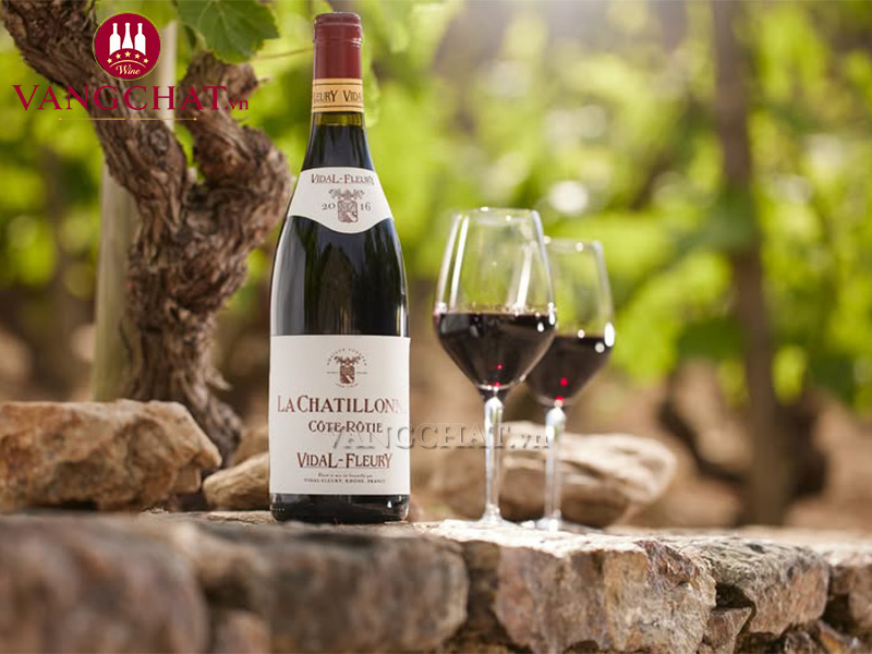 Ly rượu vang đỏ Vidal Fleury La Chatillonne Cote Rotie nhập khẩu chính hãng