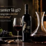 Decanter la gi chai vang nao can tho truoc khi uong