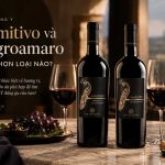 Primitivo va Negroamaro nen chon loai nao