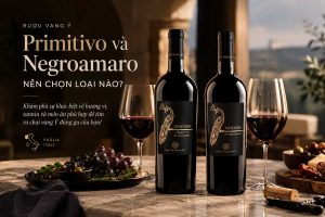 Primitivo va Negroamaro nen chon loai nao