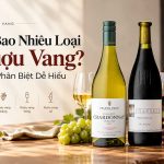 co bao nhieu loai ruou vang cach phan biet de hieu