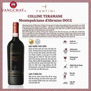 Fantini Colline Teramane Montepulciano d'Abruzzo DOCG