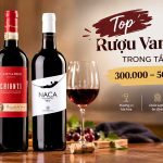 top ruou vang ngon trong tam gia