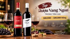 top ruou vang ngon trong tam gia