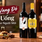top vang do de uong danh cho nguoi moi