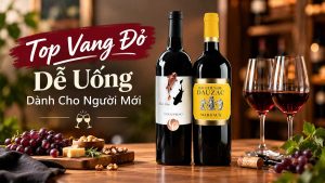 top vang do de uong danh cho nguoi moi